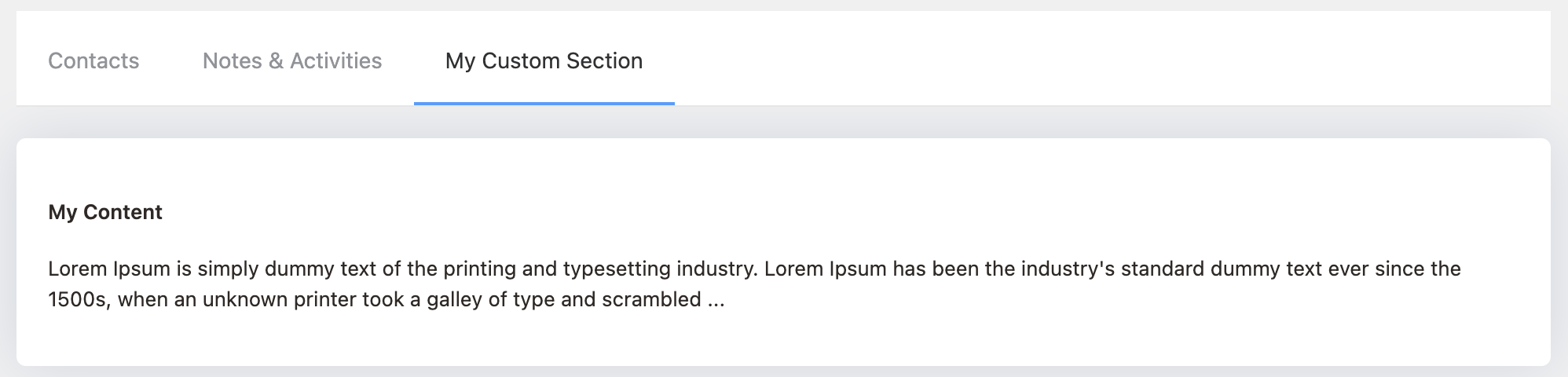 Custom Company Profile Section